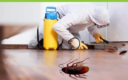 مكافحة الحشرات بالكويت - مكافحة القوارض بالكويت - رش موبدات بالكويت - 51693608