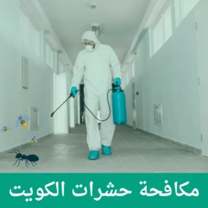 Read more about the article شركة مكافحة حشرات الكويت: دليلك للتعامل مع الحشرات وحماية المكان -96596788197